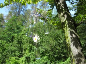 bottiglie di vetro con fiori freschi appese agli alberi