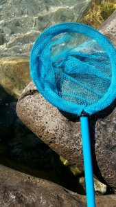 L'inseparabile retino blu puffo