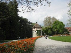 Particolare dell'isola