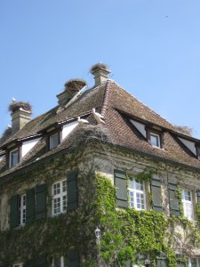 Affenberg Salem: cicogne