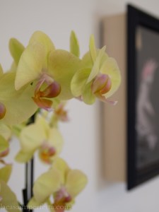 Stanza dai colori pastello