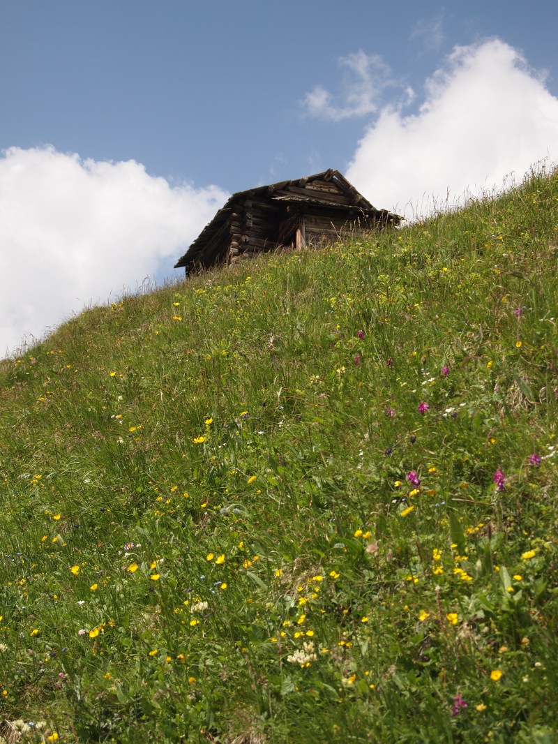 Prato con baita in legno