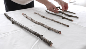 Un passaggio per costruire quest'albero con rami raccolti, preso dal video di Lynn Petersson