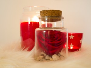 Stanza sulle tonalità del grigio con qualche tocco di rosa e rosso: dettaglio di rosa stabilizzata in barattolo