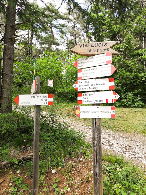 particolare della passeggiata a Smarano