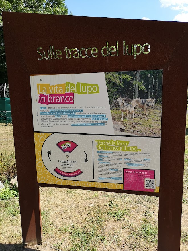 Uno dei tabelloni esplicativi del sentiero "Sulle tracce del lupo"