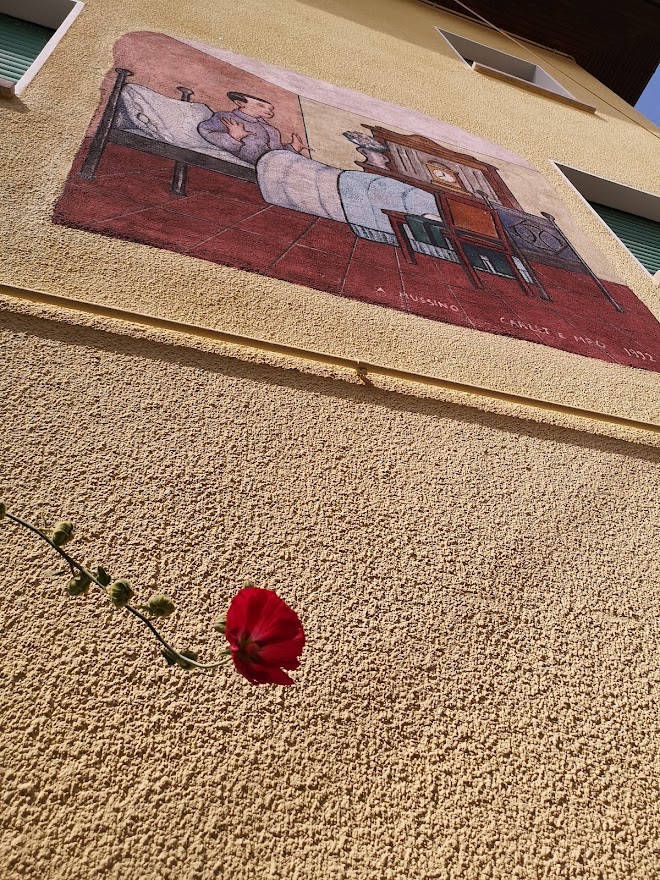 Vernante - Murales dove Pinocchio si sveglia bambino